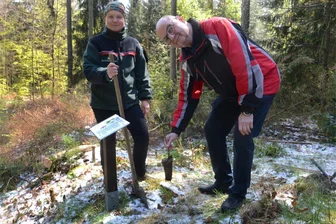 Im Walderlebnisgarten Eich wächst jetzt der Baum des Jahres 2024 - Veronika Hüttner vom Forstbezirk Plauen und Frank Kober von der Treuener Stadtverwaltung pflanzen eine Mehlbeere in Eich.