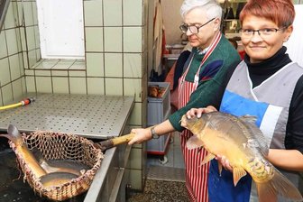 Im Werdauer Fischmarkt gehen zwei Tonnen Karpfen über die Theke - 