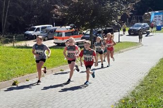 Im Westerzgebirgscup geht es Schlag auf Schlag: Stützengrüner mischen zur Halbzeit vorn mit - Mit Laufwettbewerben bereiten sich auch die Skilangläufer des SV Stützengrün auf die bevorstehende Wintersaison vor.