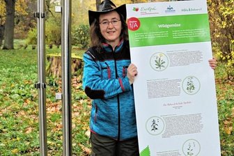 Im Wildkräuterpark kann ab Sonnabend genascht werden - Die stellvertretende Vereinsvorsitzende von "Wildes Oederan", Susanne Herklotz, zeigt eine der Informationstafeln, die wichtige Fakten enthalten.