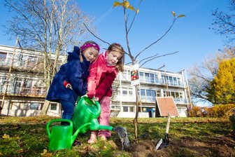 Im Zwergenland wächst jetzt ein Apfelbaum -