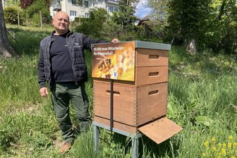 Immer mehr Bienenpatenschaften im Vogtland: Ein Imker erklärt, wie’s funktioniert - Imker Ralf Rehm kontrolliert regelmäßig, ob es dem Bienenvolk der Stadt Klingenthal gutgeht.