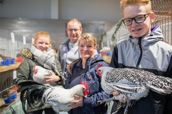 In Annaberg-Buchholz zieht rassiges Federvieh die Blicke auf sich - Emma, René, Brit und Moritz Günther (von links) vom Rassegeflügel- und Kaninchenzüchterverein Steinbach haben in Annaberg ihre Ostfriesischen Möven silberschwarzgeflockt gezeigt.