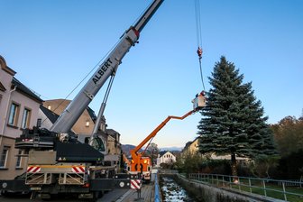 In Aue fliegt der Weihnachtsbaum ein -
