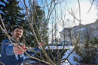 In Burgstädts Gymnasium sind Klimaschüler statt Klimakleber gefragt - Lehrer Martin Henniger unterrichtet das Fach „Klima und Umwelt“ am Burgstädter Gymnasium. Der Baum im Schulgelände wurde mithilfe von Schülern gepflanzt.