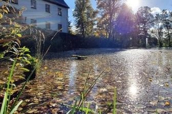 In den Dorfteich fließt weniger Geld als geplant - Der Schlamm des Dorfteichs, der auch durch das viele Laub im Herbst entsteht, soll kostengünstiger entsorgt werden, als geplant.