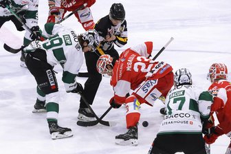 In der entscheidenden Phase zu passiv: Eispiraten Crimmitschau verlieren Auswärtsspiel in Bietigheim - Das Foto zeigt Corey Mackin (rotes Trikot) bei einem Bully im Heimspiel gegen Bietigheim. Am Sonntag erzielte er auswärts den zwischenzeitlichen Ausgleich für Crimmitschau.