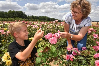 In der Freiberger Baumschule kann man Rosen verkosten - Rosenschau der Baumschule Freiberg. Unter 190 Arten waren diesmal auch drei essbare Sorten zu bestaunen und verkosten. Jason und Oma Evi Hübler wagen den Geschmackstest.