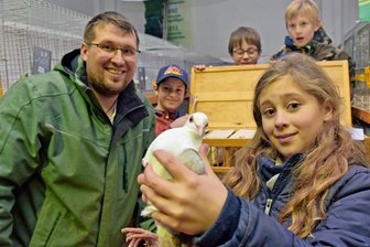 In der Turnhalle Niederbobritzsch geht es tierisch zu - Krimhild und Johann Haupt zeigen in der Niederbobritzscher Schau Tauben der Rasse Fränkische Samtschild.