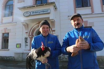 In diesem Ort im Vogtland tanzen die Täubchen am Rosenmontag auf den Tischen - Einen Lakenfelder Hahn zeigt Walter Schneider, Carsten Weiß hält eine Altenburger Trommeltaube in gelb.