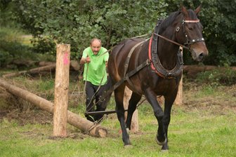 In Großrückerswalde wird der beste Holzrücker des Erzgebirges ermittelt - Vor zwei Jahren hatte das Finale des Erzgebirgs-Cups im Holzrücken auch in Großrückerswalde stattgefunden. Im Bild: Bernd Schaarschmidt auf dem Parcours.