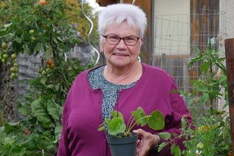 In Grünbach werden jetzt Pflanzen getauscht - Erika Sandner organisiert die Pflanzentauschbörse zum Erntedankfest in der Turnhalle.