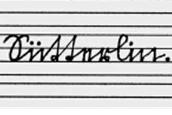 In Landwüst kann Sütterlin gelernt werden - In einem Kurs an drei Mittwochen im März kann in Landwüst die Sütterlin-Schrift gelernt werden.