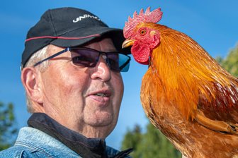 In Lauterbach wird’s laut: Hähne krähen um die Wette - Matthias Beck hofft, dass sein goldbrauner Zwerghahn der Rasse New Hampshire beim Krähwettbewerb erfolgreich sein wird.