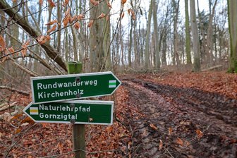 In Meerane rattern die Kettensägen: Wie lange Teile des Schillerparks für Spaziergänger tabu sind - Die Wege oberhalb des Gondelteiches präsentieren sich nach der Forstmaßnahme im schlechten Zustand.