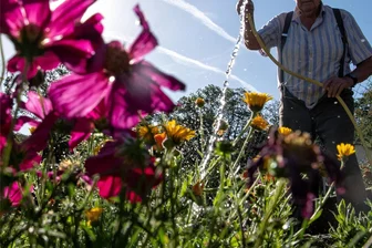 In Meerane werden naturnahe Kleingärten gesucht - Gesucht werden naturnahe Kleingärten.