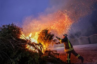 In Oberlungwitz und Gersdorf brennen weniger Weihnachtsbäume als sonst - Zwischen 300 und 400 Bäume dürften es in Oberlungwitz trotzdem wieder gewesen sein.
