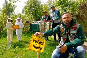 In Oberlungwitz unterstützen die Party-Krokodile der „Ridin’ Crocs“ die kleinen Bienenexperten der Grundschule. - Tino Walther, Marcel Irmscher und Steve Bene (v.r.) von den „Ridin’ Crocs“ bei den Mini-Imkern.