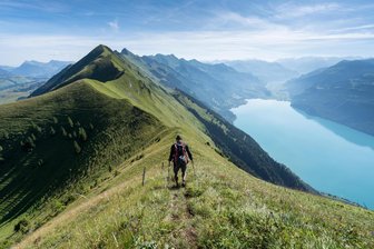 In Schweiz vermisste Chemnitzerin: Es fehlt noch immer jede Spur - Der Hardergrat oberhalb des Brienzer Sees: Ist die Chemnitzerin hier verunglückt?