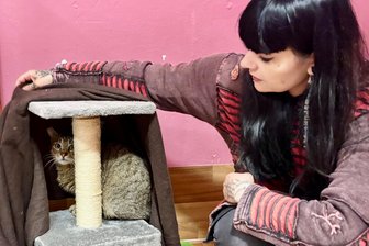 In Tierheim im Erzgebirge reißen die Sorgen nicht ab: Streuner, steigende Kosten und neue Schäden - Mufasa ist scheu und hat einen langen Leidensweg hinter sich. Annabell Freiwald vom Bockauer Tierheim gehört zu seinen Rettern.