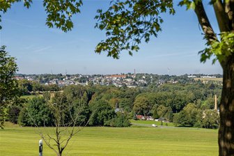 In Treuen wird Baumschutz zur Enkelsache: Denn dort gibt es mehr Bäume als Häuser - Zugegeben: In Treuen gibt es ganz schön viel Bäume, wie dieses Panorama zeigt. Aber ist das Grund genug, eine Baumschutzsatzung abzulehnen, fragt sich Linke-Stadtrat Kai Gerisch.