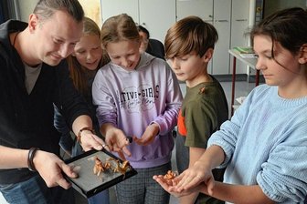 In Treuener Oberschule gehören Tiere zum Unterricht - Lehrer Max Lipfert unterrichtet seine Schüler Aileen, Stina, Finn und Mathilda (von links) in Treuen mit Hilfe von Tieren. Im Bild sind Australische Geisterschrecken zu sehen.