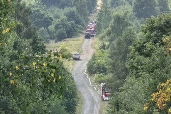 In Waldnähe: Brand an ehemaligem Truppenübungsplatz bei Plauen – Feuerwehrchef: „Enormer Kraftakt für alle Beteiligten“ - In der Syrau-Kauschwitzer Heide hat es am Mittwochnachmittag gebrannt.