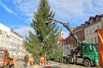 In Werdau und Crimmitschau sind die Weihnachtsbäume aufgestellt - Am Montagvormittag ist der 12 Meter hohe Werdauer Weihnachtsbaum aufgestellt worden.