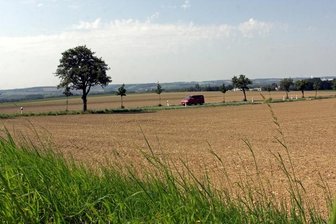 Industriegebiet Schneppendorf: Stadt bleibt bei ihrem Plan - Blick aus Richtung Thurmer Straße auf das geplante Industriegebiet Schneppendorf.