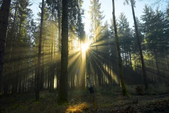 Initiative Höllental und BUND-Kreisgruppe Hof protestieren gegen geplante Höllentalbrücke - Der Frankenwald ist ein Paradies für Wanderer.