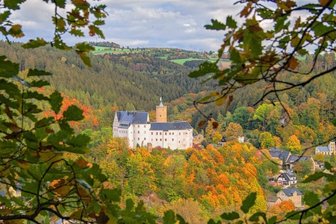 Inmitten von Herbstfarben - 