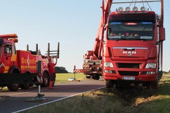 Insekt wird Laster-Fahrer zum Verhängnis -