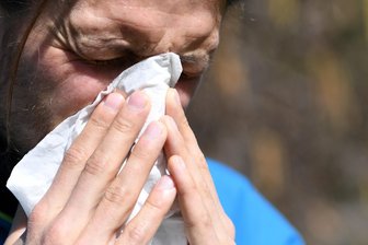 Intensiver Start in die Pollen-Saison: Für Allergiker gibt es kaum Pausen - Es krabbelt in der Nase. 