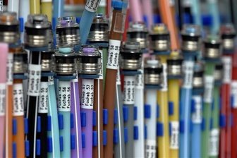 Internet: 16 Prozent aller Haushalte unterversorgt - 