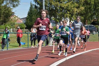 Irgendwas ist immer: Die Tipps der Sportredaktion für das Wochenende im Vogtland - Mehr als 250 Meldungen sind für das Vogtlandmeeting in Treuen – im Bild der 800-Meter-Lauf der U 15 im Vorjahr – eingegangen.