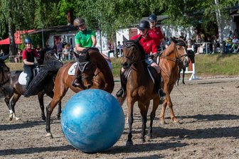 Irgendwas ist immer: Die Tipps für das Sportwochenende in Mittelsachsen - Auch Pferdefußball stand beim traditionellen Pfingstturnier schon auf dem Programm.