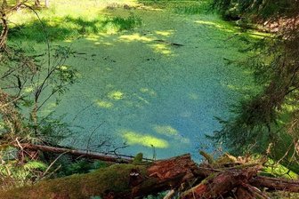 Ist der alte Flößbruch im oberen Vogtland ein erloschener Vulkan? - Der Flößbruch zwischen Zwotental und Schöneck.
