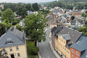 Ist fast 200 Jahre alte Eiche noch zu retten? - Die 1830 als Gedenkbaum gepflanzte Eiche noch unbeschnitten und in vollem Grün vom Thumer Kirchturm aus fotografiert.