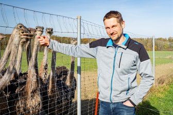 Ist Strauß aus Striegistal eine Alternative zur Weihnachtsgans? - Neugierige Blicke werfen die Tiere von Marcus Reißig durch den Zaun. Den Straußenhof in Striegistal betreibt der 35-jährige zusammen mit seinem Vater Wolfgang.