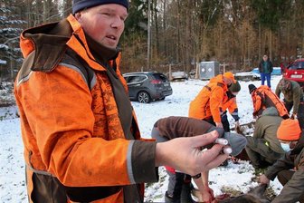 Jäger erlegen im Vogtland mehr Wildschweine als im Vorjahr - Jäger Andreas Schröter aus Reichenbach hilft, die Blutproben beim erlegten Schwarzwild zu entnehmen.