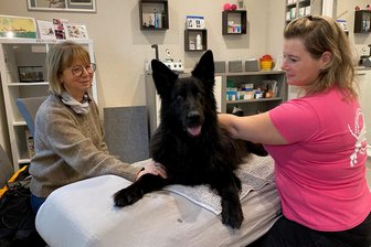Janine Kujat hilft Vierbeinern auf die Sprünge - als Physiotherapeutin für Hunde und Katzen in Hainichen - Birgit Möbius (links) kommt seit anderthalb Jahren mit ihrer Schäferhündin Nele zu Tier-Physiotherapeutin Janine Kujat. Die Hündin bekommt manuelle Therapie wegen Arthrose.