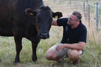 Japanische Rinder in Erlau: Fleisch und Wurst für Luxus-Hotel und Harley-Fans - Matthias Müller von der Fullblood Wagyu Sachsen GmbH in Erlau mit einem seiner Tiere auf einer Weide.