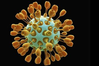 Jetzt vier Corona-Fälle im Landkreis Zwickau - Darstellung des Coronavirus.
