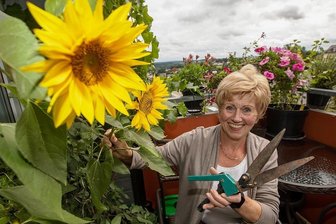 Jobwechsel: Plauener Friseurmeisterin hat nach 50 Jahren die Schere getauscht - Ellen Raubold hat den Goldenen Meisterbrief im Friseurhandwerk erhalten. Die Schere hat sie nach vielen Arbeitsjahren inzwischen getauscht. 