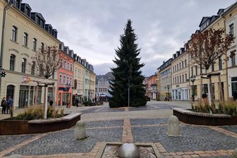 Jößnitzerin spendet Weihnachtsbaum für den Plauener Klostermarkt: „Den Vögeln und Fledermäusen ihren Lebensraum zu nehmen, tat mir weh“ - Der Weihnachtsbaum auf dem Klostermarkt steht, die Adventszeit kann beginnen.