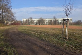Joggen in Gablenz?: Laufbahn im Bürgerpark wird saniert - Die Laufbahn im Bürgerpark Gablenz ist als solche kaum noch zu erkennen.