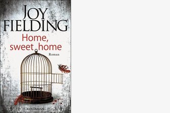 Joy Fielding: Und alle haben eine Schusswaffe im Haus - 