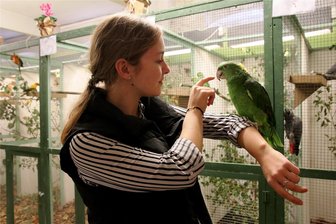 Jubiläums-Exotenschau steigt am Wochenende in Rodewisch - Gelbnacken-Amazonen wie dieser auf dem Arm von Karina Fuhrmann gibt es ebenfalls zu sehen.