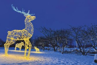 Jubiläumsfeier im Sonnenlandpark Lichtenau: Planungen laufen bis Februar - Blick in den Lichtenauer Sonnenlandpark.