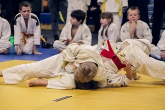 Judo: Starterin von Dynamo Oelsnitz beste Vogtländerin bei Deutscher Meisterschaft - Symbolfoto: Pixabay